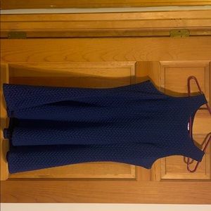 Navy Blue Francescas Dress